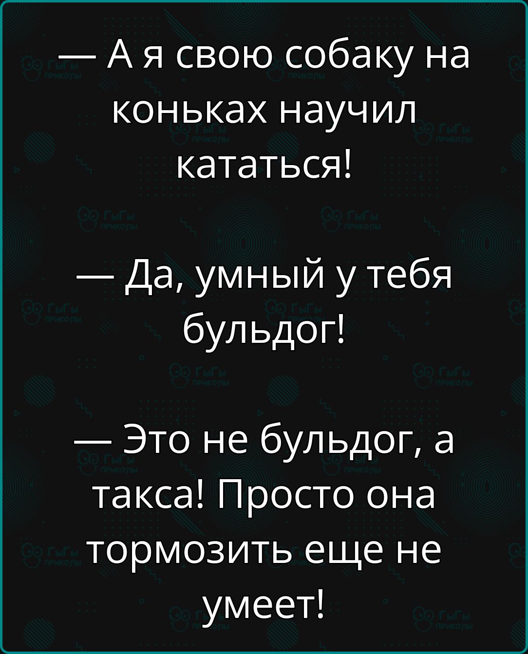 Ая свою собаку на коньках научил кататься Да умный у тебя бульдог Это не бульдог а такса Просто она тормозить еще не умеет