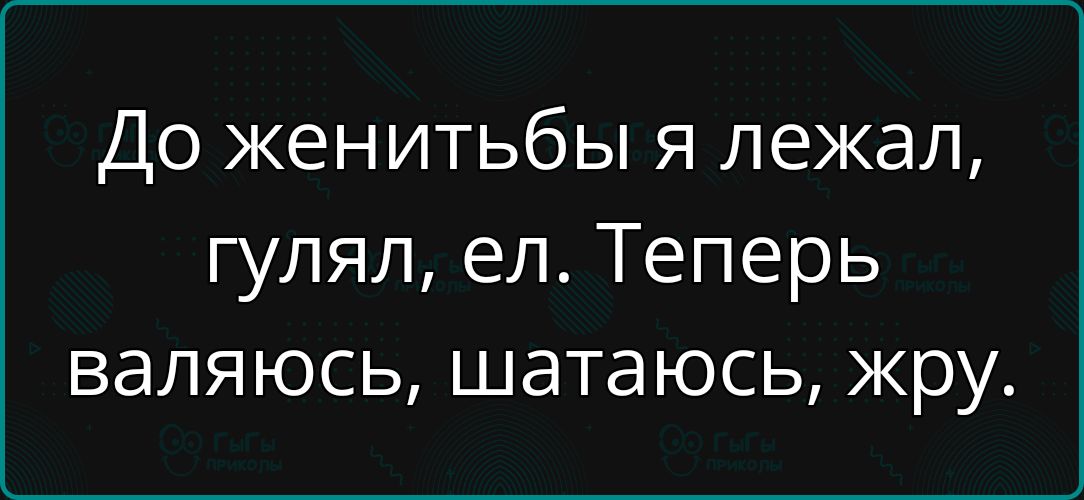 До женитьбы я лежал гулял ел Теперь валяюсь шатаюсь жру