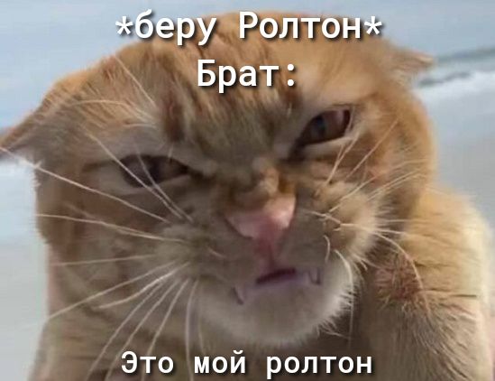 Это мой ролтон