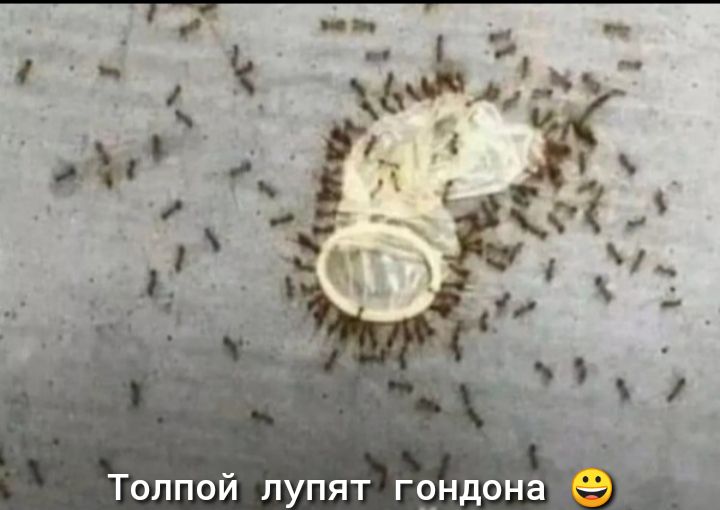 Толпой лупят гондона _