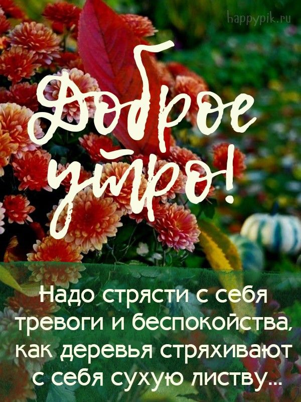 Надострястщс сёря Тревоги и беспокойства как деревья стряхиваюд с себя сухолиству