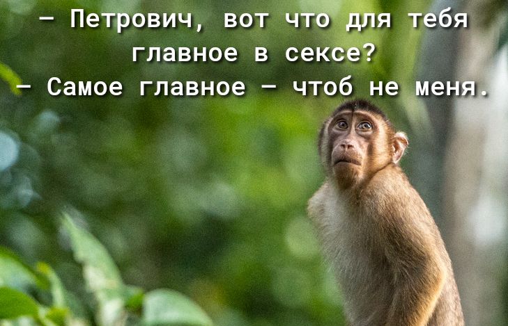 _ ПеЁович ваття Яі главное в сек _ самое главное _ ЧТОб неч е