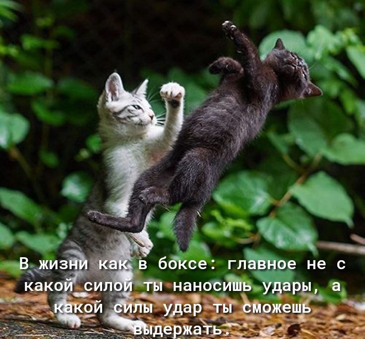 ВЁЁиздл мы Дшу наношдв _ 155 уаЪёЪд жешЁ__р евЁжа 3315 5