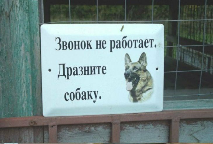 Звонок не работает Дразните собаку