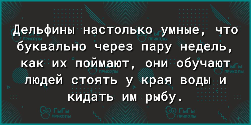 Дельфины настолько умные что буквально через пару недель как их поймают они обучают людей стоять у края воды и кидать им рыбу