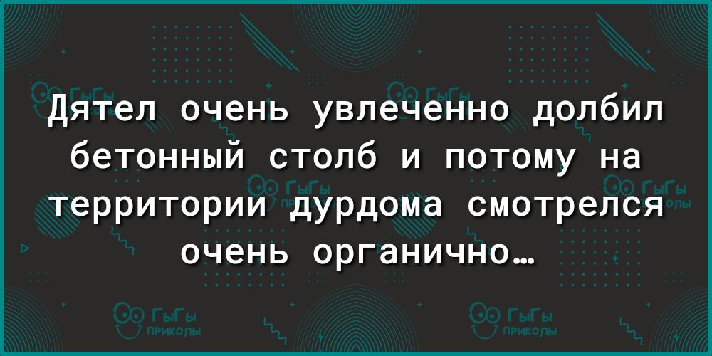 Дятел очень увлеченно долбил бетонный столб и потому на территории дурдома смотрелся очень органично