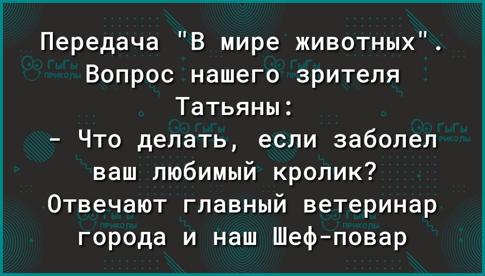 Передача В мире животных Вопрос нашего зрителя Татьяны Что делать если заболел ваш любимый кролик Отвечают главный ветеринар города и наш Шефповар