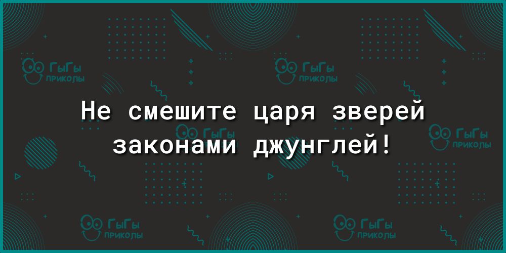 Не смешите царя зверей законами джунглей