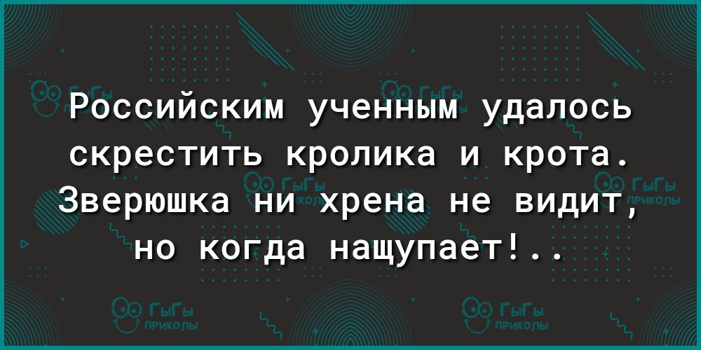 Российским ученным удалось скрестить кролика и крота Зверюшка ни хрена не видит но когда нащупает