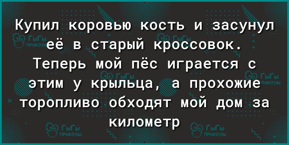 Купил коровью кость и засунул её в старый кроссовок Теперь мой пёс играется с этим у крыльца а прохожие торопливо обходят мой дом за километр
