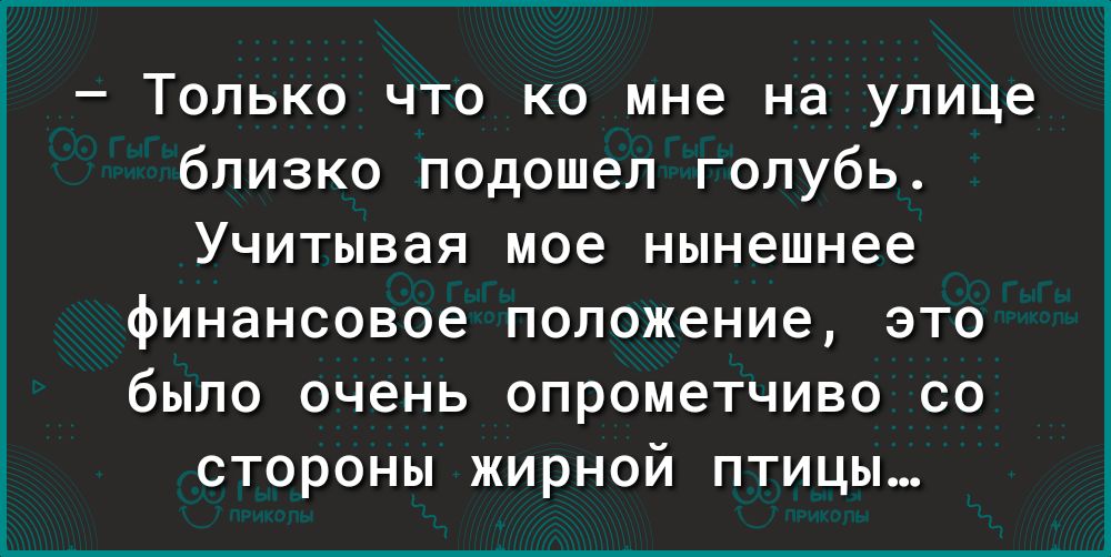 Только что ко мне на улице близко подошел голубь Учитывая мое нынешнее финансовое положение это было очень опрометчиво со стороны жирной птицы