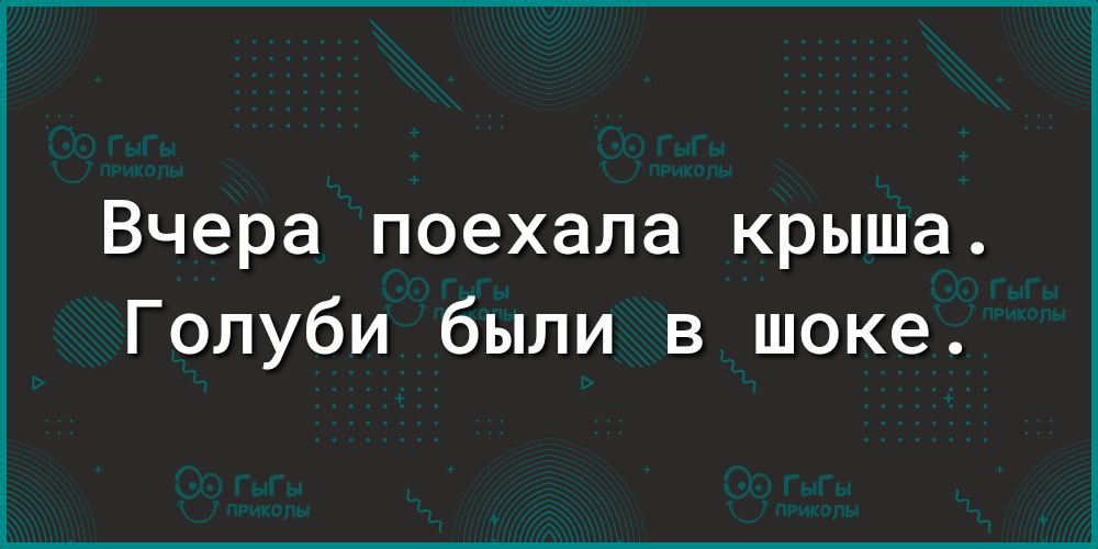 Вчера поехала крыша Голуби были в шоке