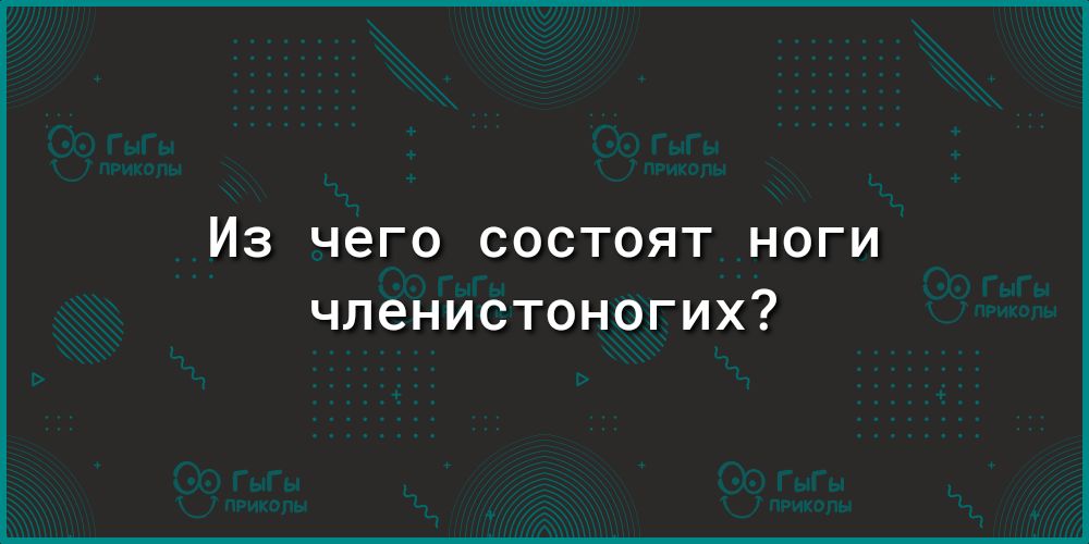 Из чего состоят ноги членистоногих