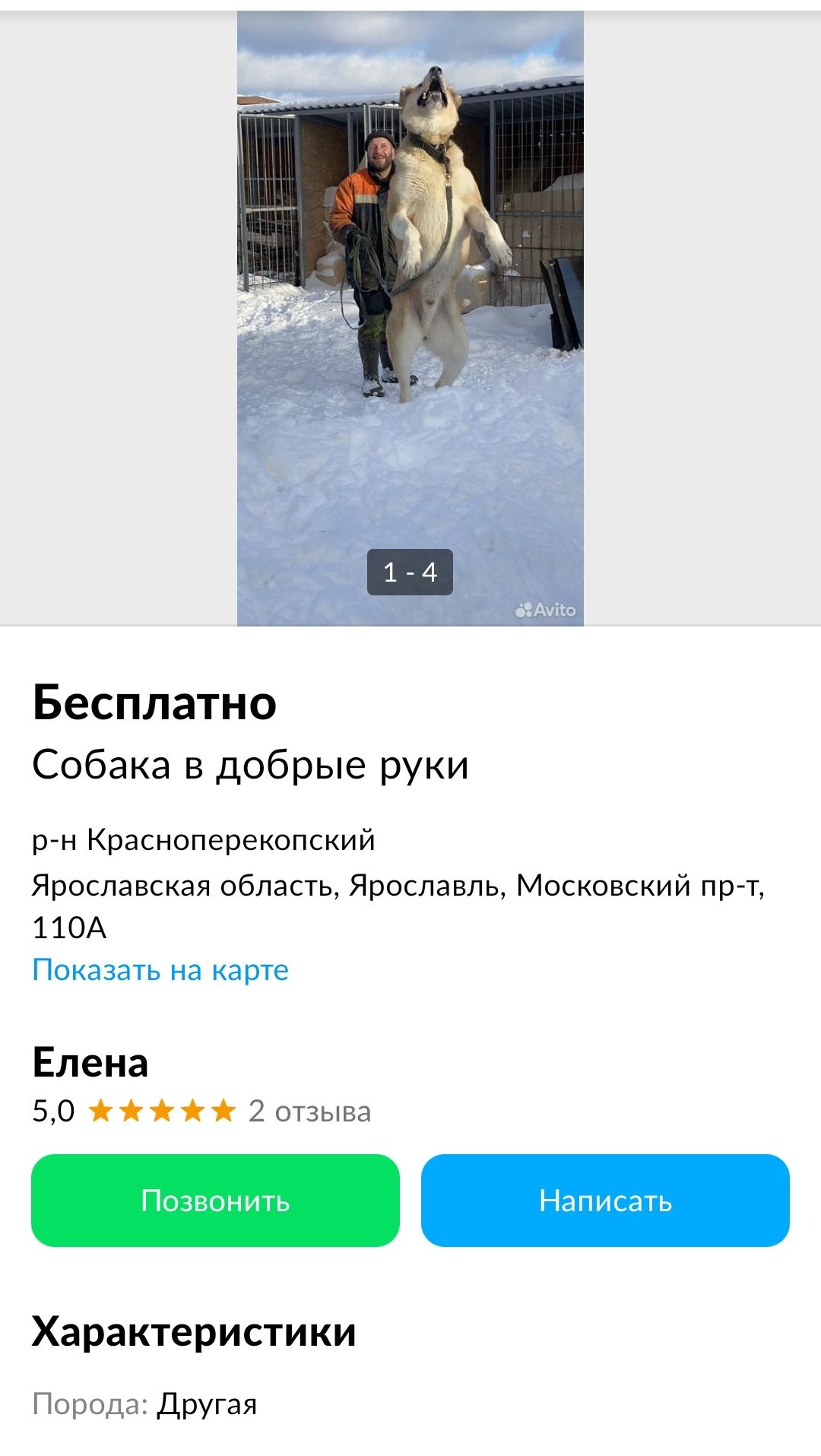 Бесплатно Собака в добрые руки от Красноперекопский Ярославская область Ярославль Московский пр т 1 М Показать на карте Елена 50 000 2 отзыва Характеристики Порода другая