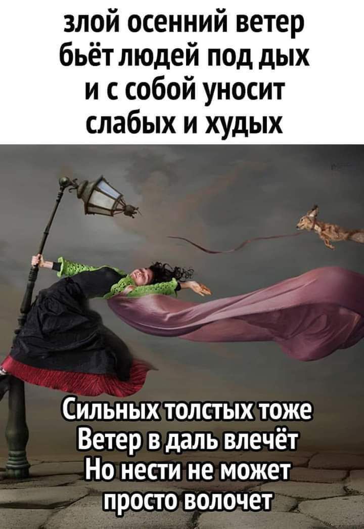 злой осенний ветер бьёт людей под дых и с собой уносит слабых и худых Сильных толстых тоже Ветер в даль влечёт Но нести не может просто волочет