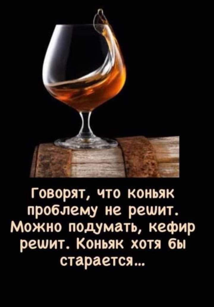 говорят что коньяк проблему не решит Можно подумать кефир решит Коньяк хотя бы старается