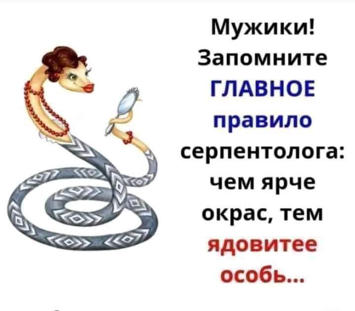 Мужики Запомните ГЛАВНОЕ правило серпентолога чем ярче окрас тем ядовитее особь