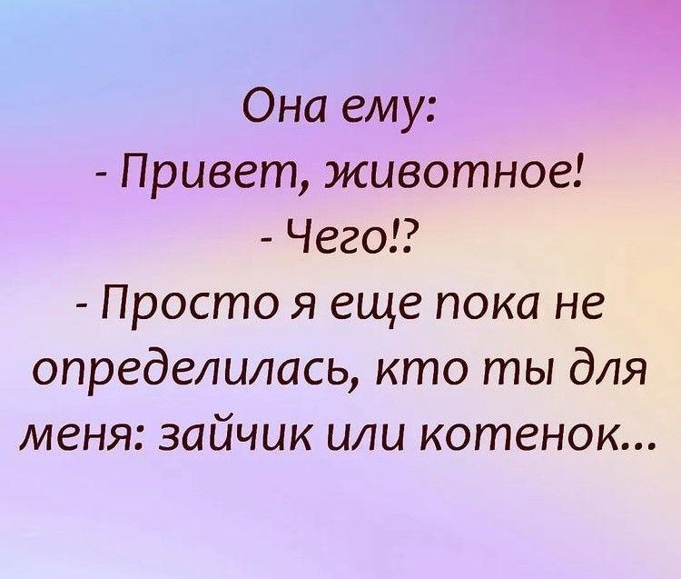 Она ему Привет животное Чего Просто я еще пока не определилась кто ты для меня зайчик или котенок