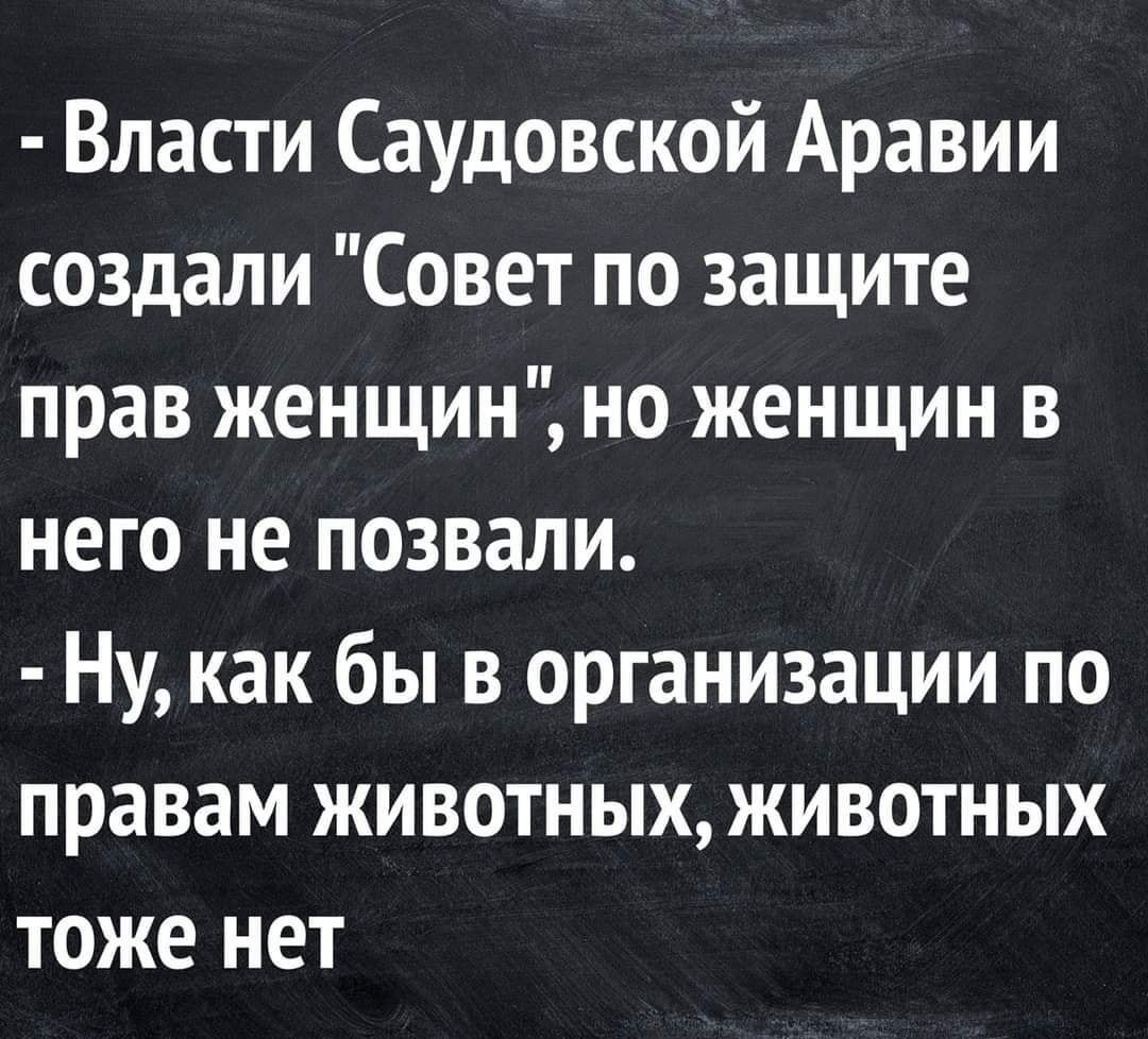 Власти Саудовской Аравии создали Совет по защите прав женщин но женщин в него не позвали Ну как бы в организации по правам животных животных тоже нет