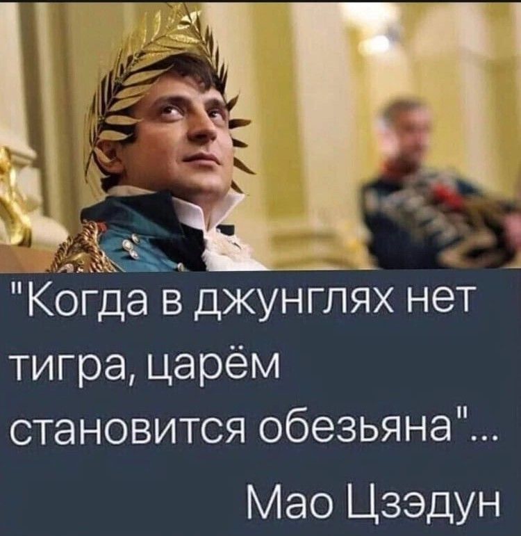 _ Когда в джунглях нет тигра царём становится обезьяна Мао Цзэдун