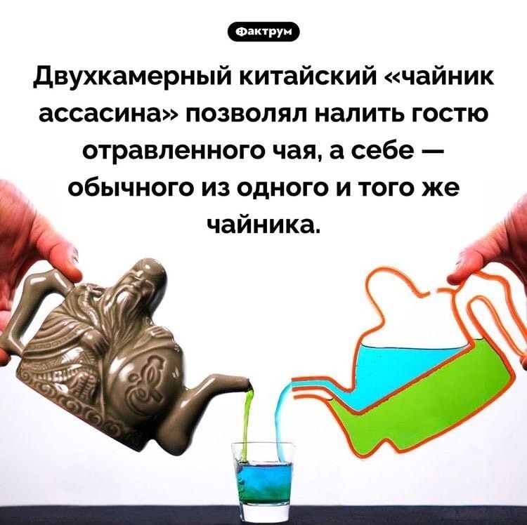 двухкамерный китайский чайник ассасина позволял налить гостю отравленного чая себе обычного из одного и того же чайника