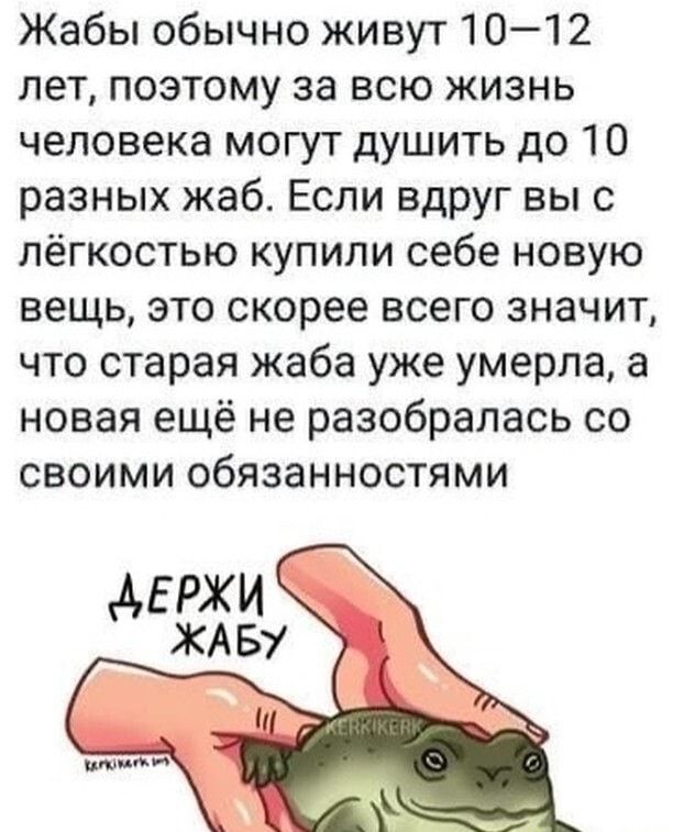 Жабы обычно живут 1012 лет поэтому за всю жизнь человека могут душить до 10 разных жаб Если вдруг вы с лёгкостью купили себе новую вещь это скорее всего значит что старая жаба уже умерла а новая ещё не разобралась со своими обязанностями