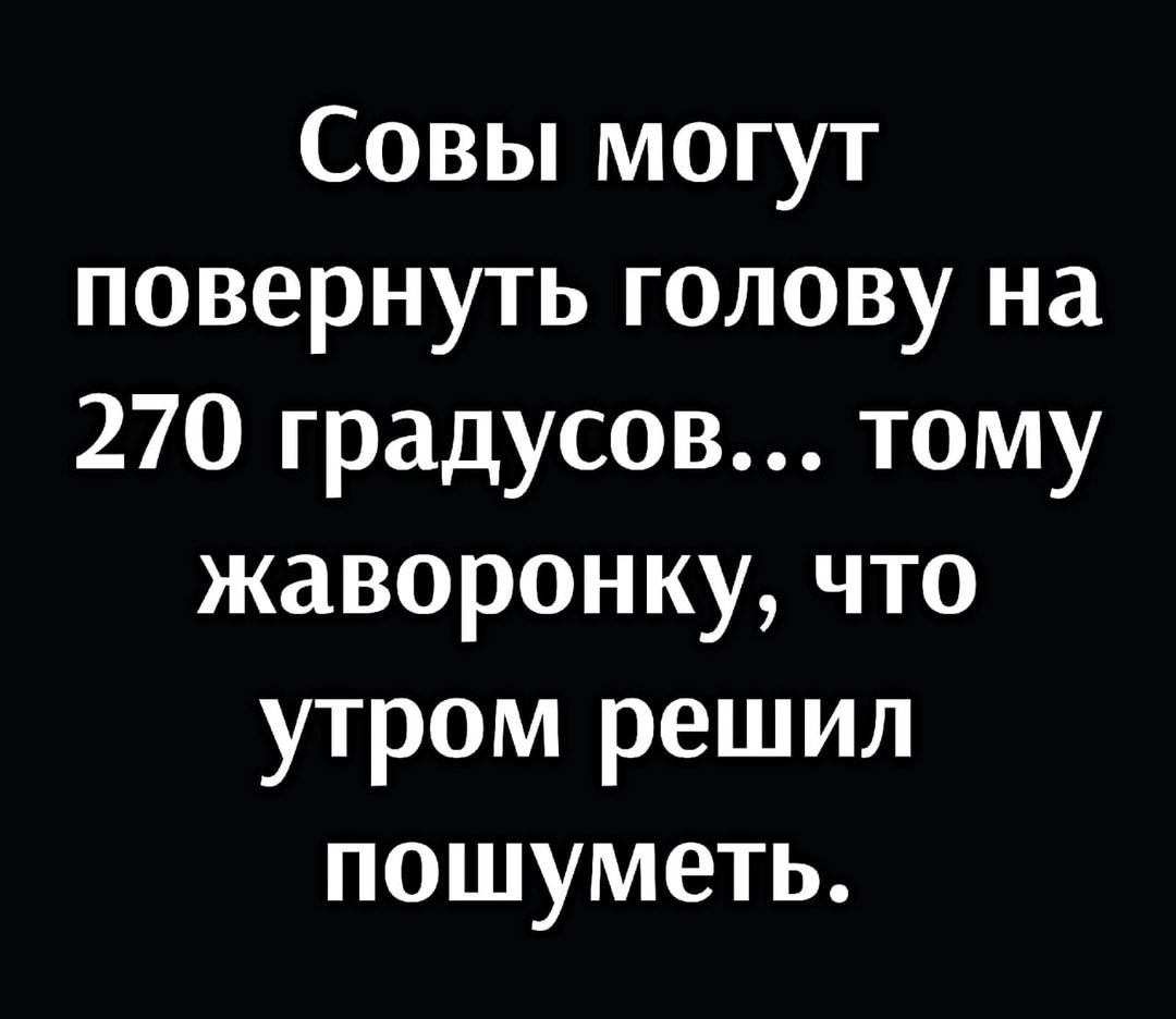 Совы могут повернуть голову на 270 градусов тому жаворонку что утром решил пошуметь