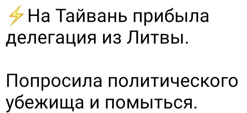 4 На Тайвань прибыла делегация из Литвы Попросила ПОПИТИЧЕСКОГО убежища И ПОМЫТЬСЯ