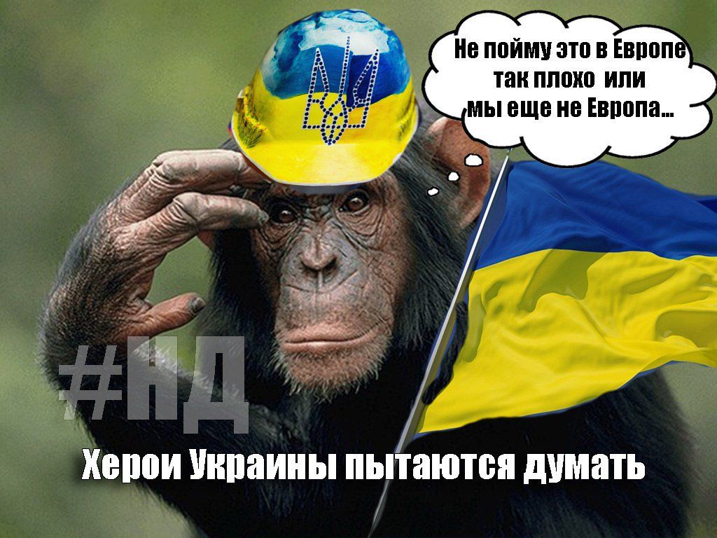 ив пойму ати иппп тик пищи ипи ы вши ип ипппа Хеппи Уипаииы пы аютси думать