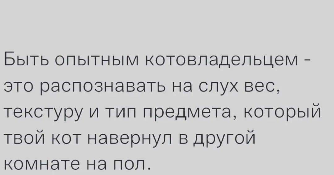 Быть опытным котовпадепьцем ЭТО распознавать на СЛУХ ВЭС текстуру и тип предмета который твой кот навернуп в другой комнате на пол