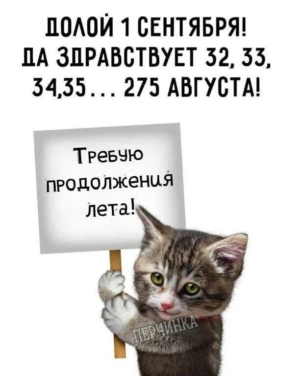ПОАОЙ 1 СЕНТЯБРЯ ЦА ЗДРАВСТВУЕТ 52 33 5435 275 АВГУСТА Треввю продолжения