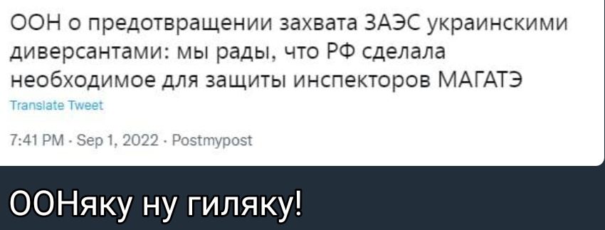 оон о предотвращены захват ЗАЭС украинскими диверсанта мы рады что РФ сделала необходимое для защиты инспекторов МАГАТЭ ООНяку ну гипяку