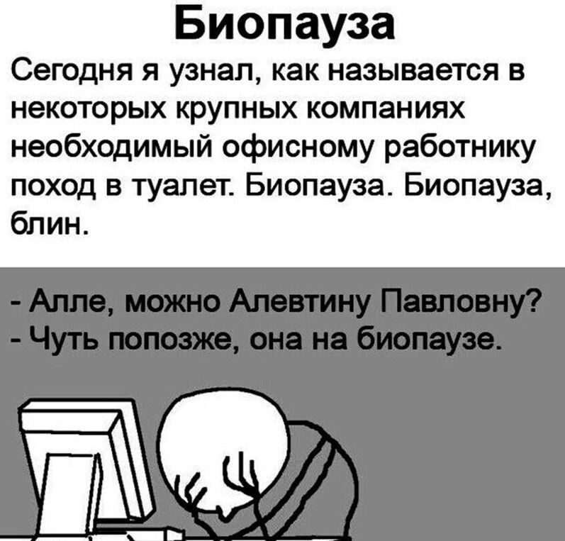 Биопауза Сегодня я узнал как называется в некоторых крупных компаниях необходимый офисному работнику поход в туалет Биопауза Биопауза бпин