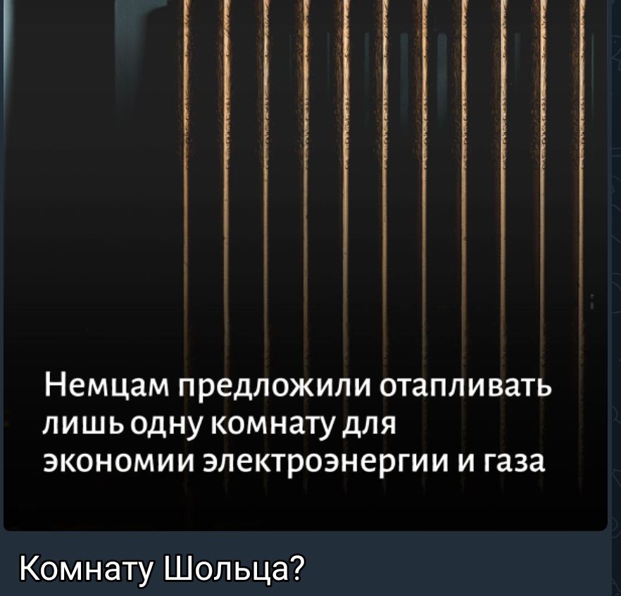 Н Немцам предложили отапливать пишьодну комнату для экономии электроэнергии и газа Комнату Шольца