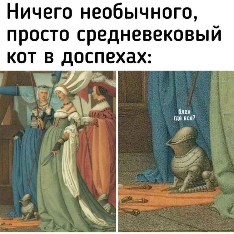 Ничего необычного просто средневековый кот в доспехах іиеи пк пе