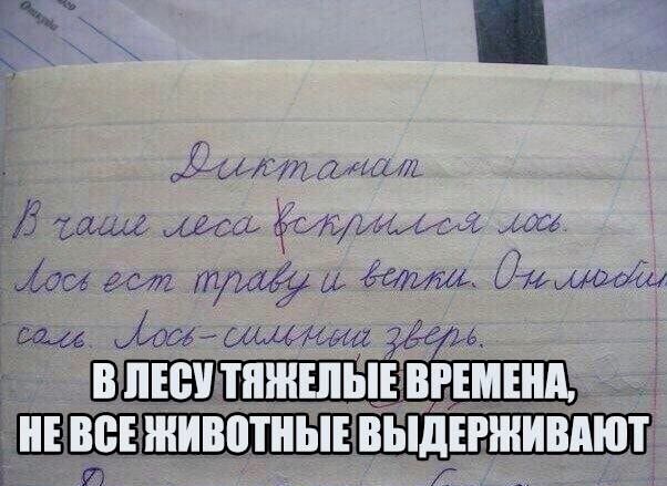 ЪЬ1ЛВ Ёъш Мы 45тиши движт тщцжиа Шамаш Ша ШИМиа с ШЛЩШЩП 431114 ЕЦЕЁБЁН ШЁ іі ННППЁ И Г И