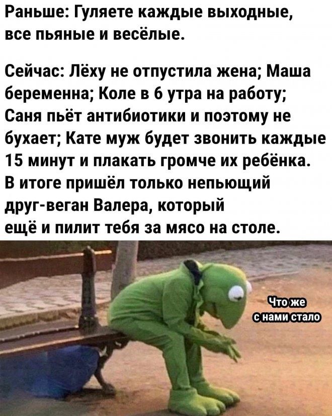 Раньше Гуляете каждые выходные все пьяные и весёлые Сейчас Лёху не отпустила жена Маша беременна Коле в 6 утра на работу Саня пьёт антибиотики и поэтому не бухает Кате муж будет звонить каждые 15 минут и плакать громче их ребёнка В итоге пришёл только непьющий друг ветви Валера который ещё и пилит тебя за мясо на столе