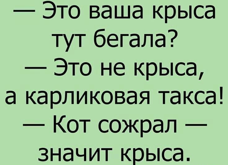 Это ваша крыса тут бегала Это не крыса а карликовая такса Кот сожрал значит крыса