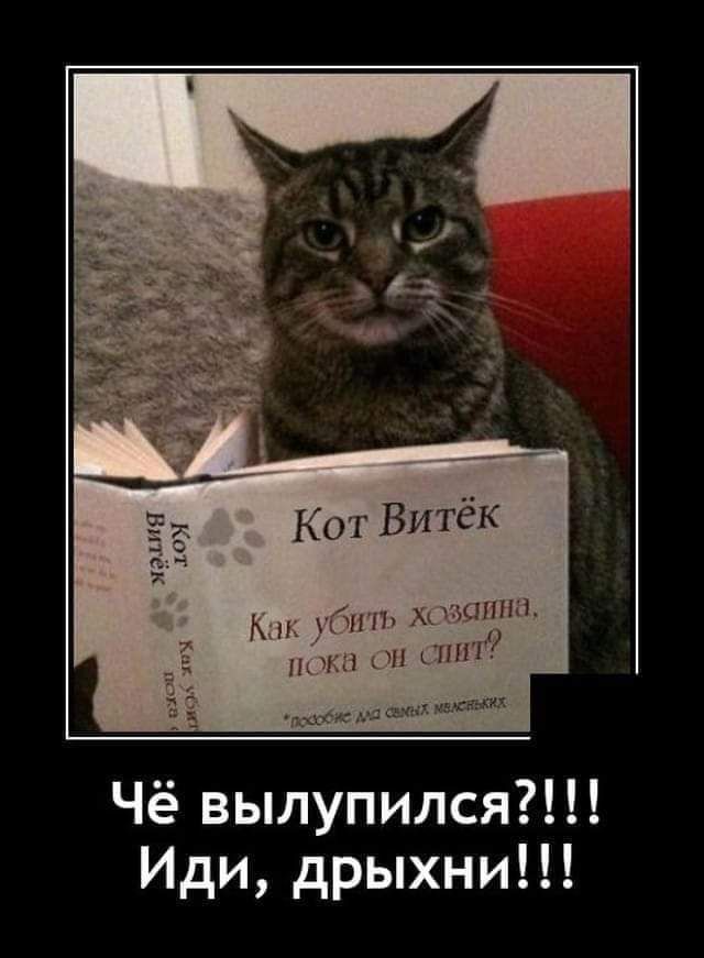 Чё вылупился Иди дрыхни