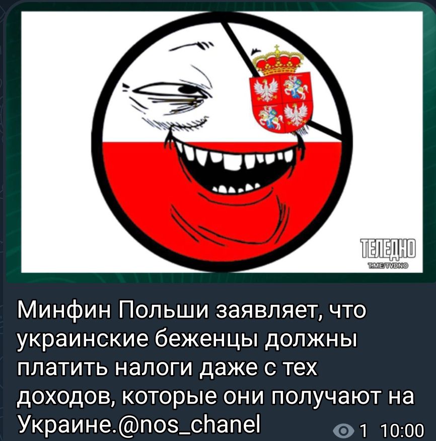 Минфин Польши заявляет что украинские беженцы ДОЛЖНЫ ПЛЭТИТЬ НЗЛОГИ даже С ТЕХ доходов которые они получают на Украинеп05_спапе 1000
