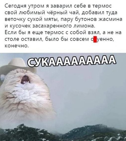 Сегодня утром и заварил себе в термос свой любимый черный чай добавил туда веточку сукой мяты пару бутонов жасмина и кусочек звсахаренного лимона Если бы я еще термос собой взял в не на столе оставил было бы совсем фею ю конечно