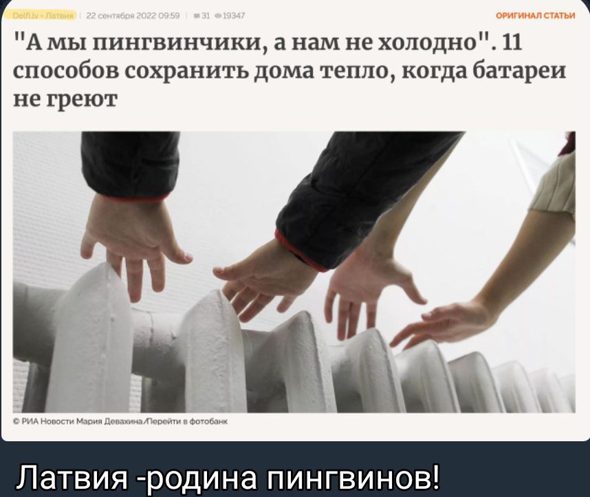 А мы пингвинчики а нам не холодно 11 способов сохранить дама тепло когда батареи не греют Ща Латвия родина пингвинов