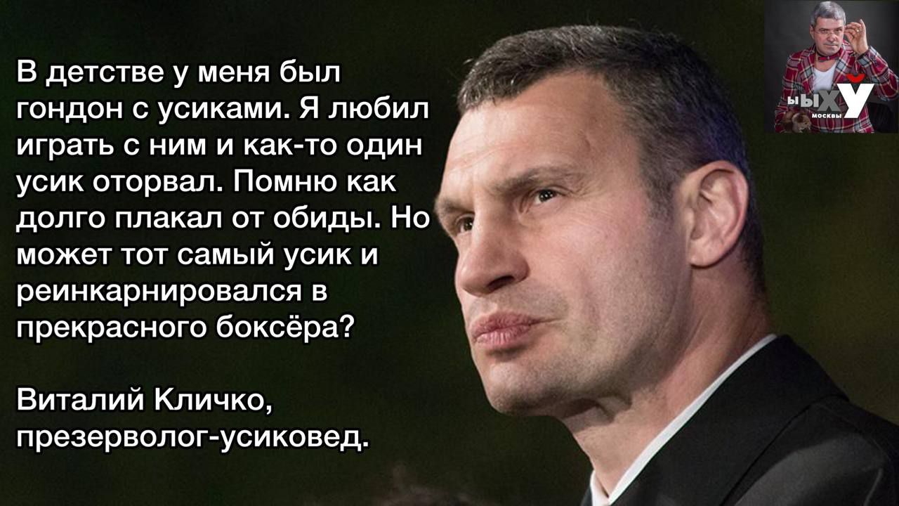 _ _тж детстве у меня был гондпн усиками я любил играть с ним и как то один усик оторвал Помню как долго плакал от обиды Но мпжвт тот самый усик и реинкариировался в прекрасного боксёра Виталий Кличко презервопш усикпвед