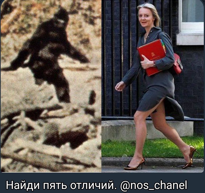 Найди пять отличий поэ_сЬапе