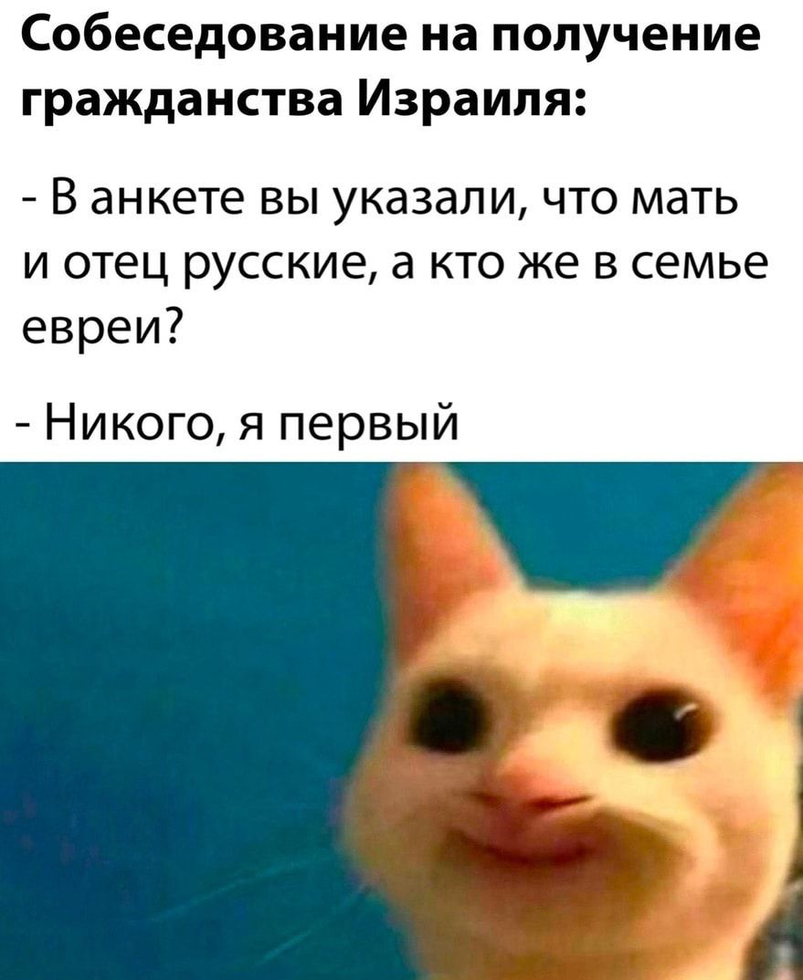 Собеседование на получение гражданства Израиля В анкете вы указали что мать и отец русские кто же в семье евреи Никого я первый