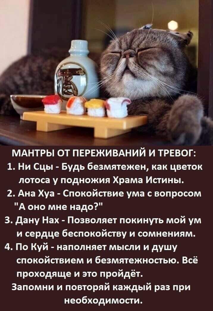 МАНТРЫ ОТ ПЕРЕЖИВАНИЙ И ТРЕВОГ 1 Ни Сцы Будь безмятежен как цветок лотоса у подножия Храма Истины 2 Ана Хуа Спокойствие ума вопросом А оно мне надо 3 даму Нах Позволяет покинуть мой ум и сердце Беспокойсгну и сомнениям 4 По куй наполняет мысли и душу спокойствием и безмятежностью Всё проходяще и это пройдёт Запомни и повторяй каждый раз при необходимости
