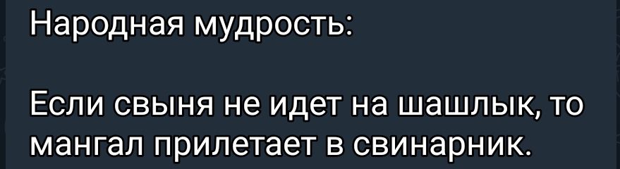 Народная мудрость ЕСЛИ СВЫНЯ не идет на ШЭШПЫК ТО мангал прилетает В СВИНЭРНИК