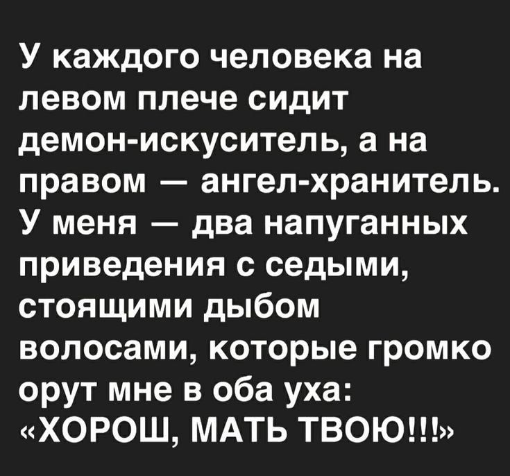 У каждого человека на левом плече сидит демон искуситель а на правом ангел хранитель У меня два напуганных приведения с седыми стоящими дыбом волосами которые громко орут мне в оба уха ХОРОШ МАТЬ ТВОЮ