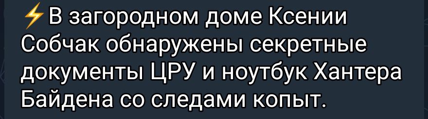 В загородном доме Ксении Собчак обнаружены секретные документы ЦРУ и ноутбук Хантера Байдена со следами копыт