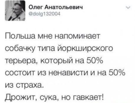Ош штольни 4 аош 32004 Польша мне напоминает собачку типа йоркширского терьера который на 50 состоит из ненависти и на 50 из страха Дрожит сука но гавкает